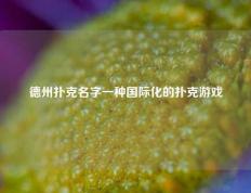 德州扑克名字一种国际化的扑克游戏