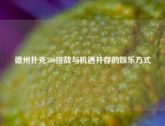 德州扑克500挑战与机遇并存的娱乐方式