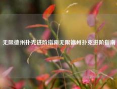 无限德州扑克进阶指南无限德州扑克进阶指南