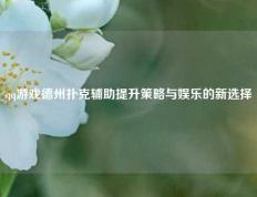 qq游戏德州扑克辅助提升策略与娱乐的新选择