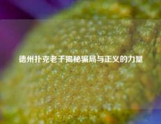 德州扑克老千揭秘骗局与正义的力量