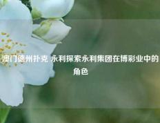 澳门德州扑克 永利探索永利集团在博彩业中的角色