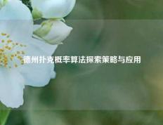 德州扑克概率算法探索策略与应用