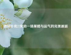 德州扑克27奖励一场策略与运气的完美邂逅