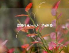 德州扑克buyin入门与策略