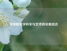 买球概率学科学与艺术的完美结合
