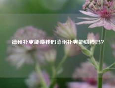 德州扑克能赚钱吗德州扑克能赚钱吗？