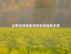 法甲买球导航寻找足球迷的天堂
