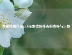博雅德州扑克6.2.0探索德州扑克的奥秘与乐趣