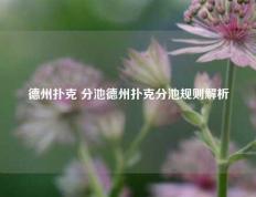 德州扑克 分池德州扑克分池规则解析