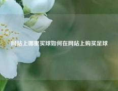 网站上哪里买球如何在网站上购买足球