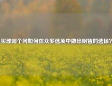 买球哪个网如何在众多选项中做出明智的选择？