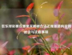 狂乐球彩票在哪里买揭秘合法正规渠道购买的途径与注意事项