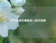 乒乓球桌去哪里买一站式指南