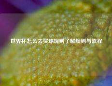 世界杯怎么去买球规则了解规则与流程
