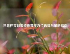 世界杯买球渠道推荐多方位选择与策略指南