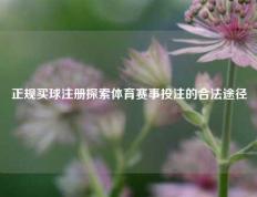 正规买球注册探索体育赛事投注的合法途径