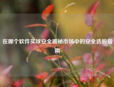 在哪个软件买球安全揭秘市场中的安全选购指南