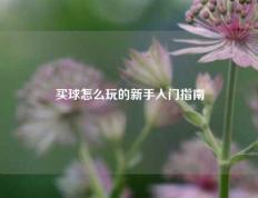 买球怎么玩的新手入门指南