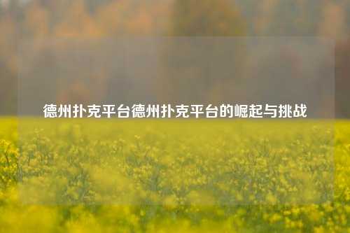 德州扑克平台德州扑克平台的崛起与挑战