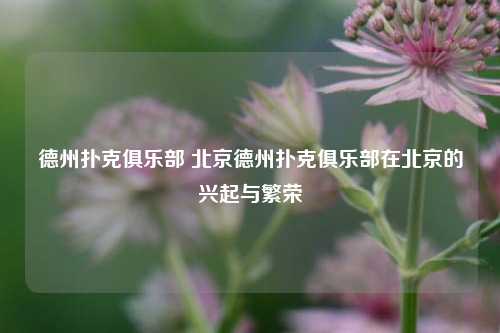 德州扑克俱乐部 北京德州扑克俱乐部在北京的兴起与繁荣