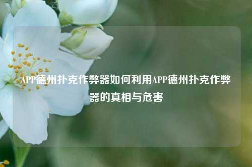 APP德州扑克作弊器如何利用APP德州扑克作弊器的真相与危害