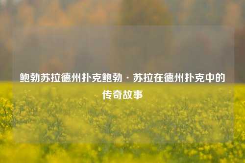 鲍勃苏拉德州扑克鲍勃·苏拉在德州扑克中的传奇故事