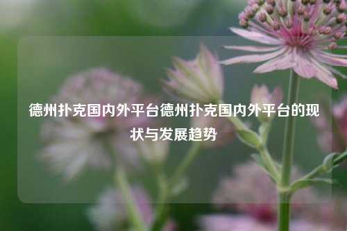 德州扑克国内外平台德州扑克国内外平台的现状与发展趋势