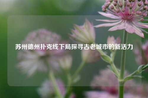 苏州德州扑克线下局探寻古老城市的新活力