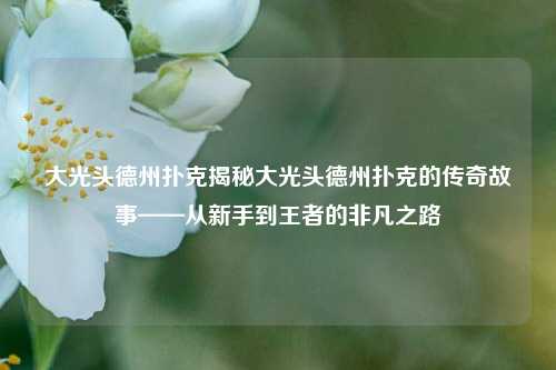 大光头德州扑克揭秘大光头德州扑克的传奇故事——从新手到王者的非凡之路