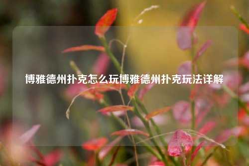 博雅德州扑克怎么玩博雅德州扑克玩法详解