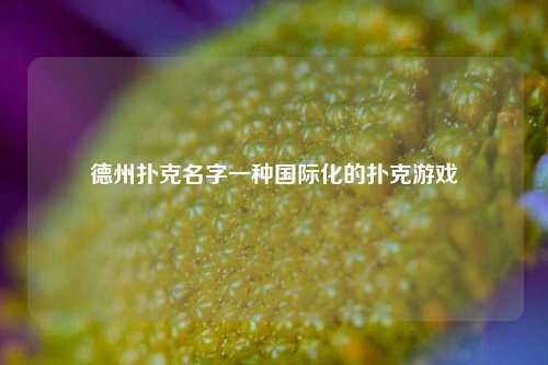 德州扑克名字一种国际化的扑克游戏