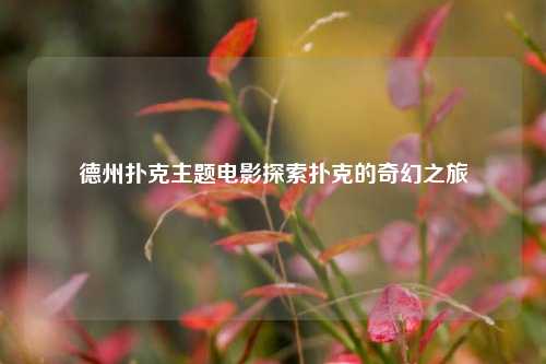 德州扑克主题电影探索扑克的奇幻之旅