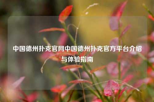 中国德州扑克官网中国德州扑克官方平台介绍与体验指南