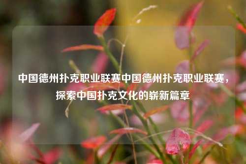 中国德州扑克职业联赛中国德州扑克职业联赛，探索中国扑克文化的崭新篇章