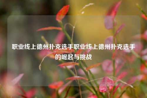 职业线上德州扑克选手职业线上德州扑克选手的崛起与挑战