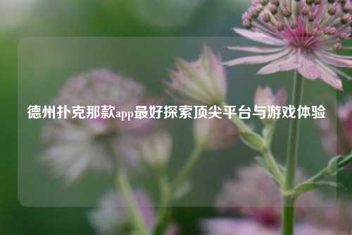 德州扑克那款app最好探索顶尖平台与游戏体验