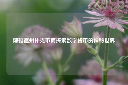博雅德州扑克币商探索数字货币的神秘世界
