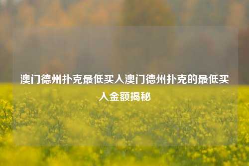 澳门德州扑克最低买入澳门德州扑克的最低买入金额揭秘