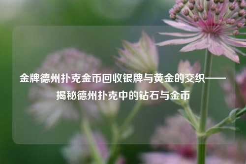 金牌德州扑克金币回收银牌与黄金的交织——揭秘德州扑克中的钻石与金币