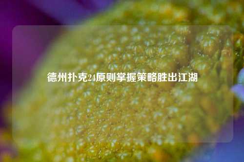 德州扑克24原则掌握策略胜出江湖