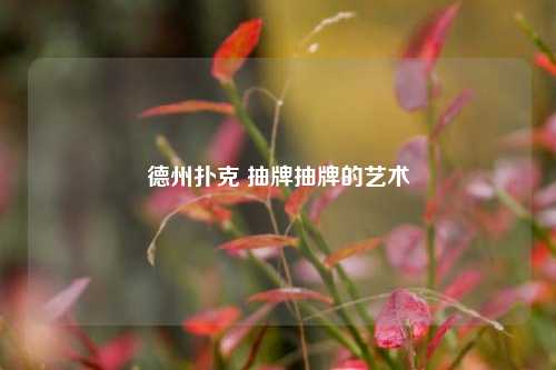 德州扑克 抽牌抽牌的艺术