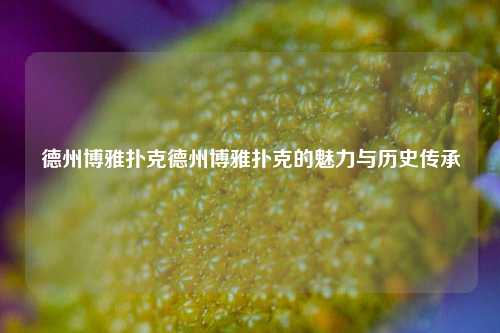 德州博雅扑克德州博雅扑克的魅力与历史传承