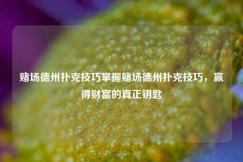 赌场德州扑克技巧掌握赌场德州扑克技巧，赢得财富的真正钥匙