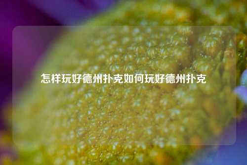 怎样玩好德州扑克如何玩好德州扑克
