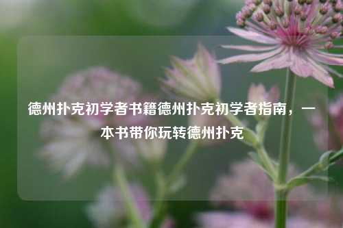 德州扑克初学者书籍德州扑克初学者指南，一本书带你玩转德州扑克