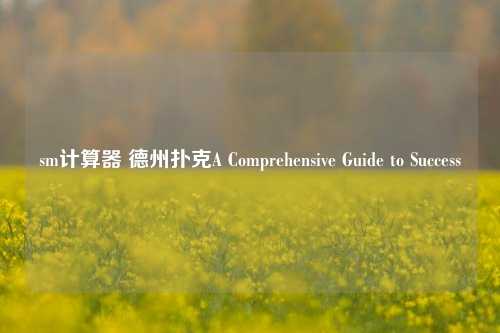 sm计算器 德州扑克A Comprehensive Guide to Success