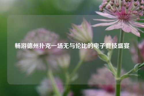 畅游德州扑克一场无与伦比的电子竞技盛宴