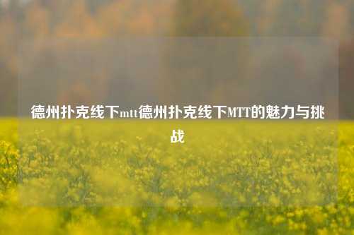 德州扑克线下mtt德州扑克线下MTT的魅力与挑战