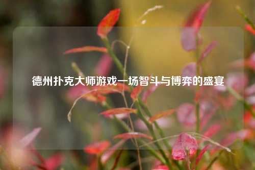 德州扑克大师游戏一场智斗与博弈的盛宴